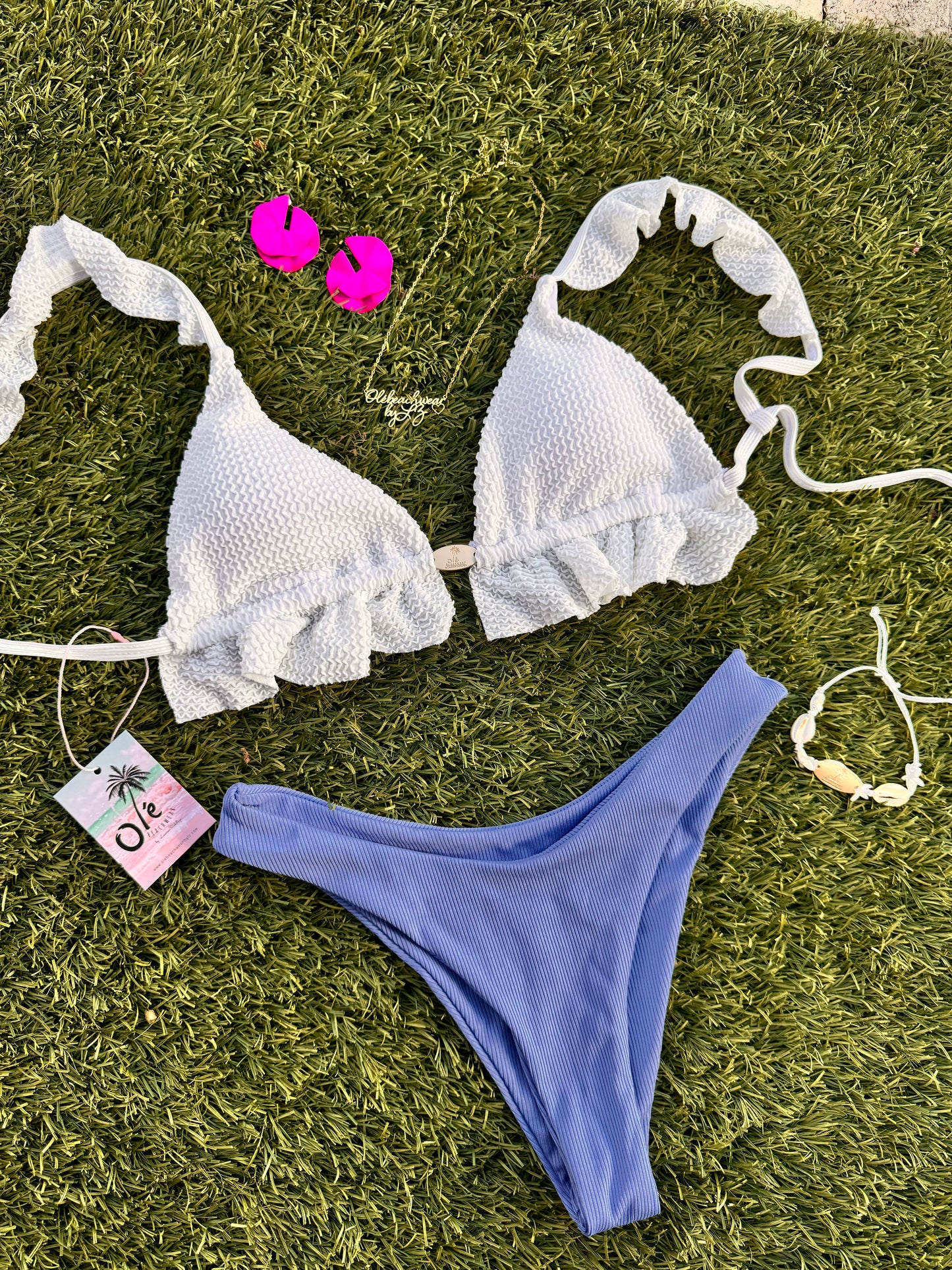 Blueberry smoothie set